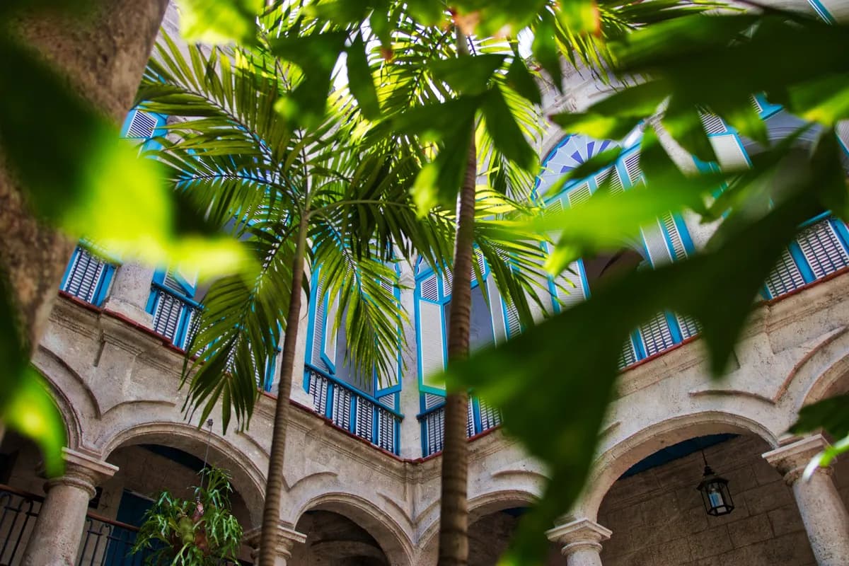 BookNoFees example image: Tropical courtyard with palm trees and historic balconies in Cuba