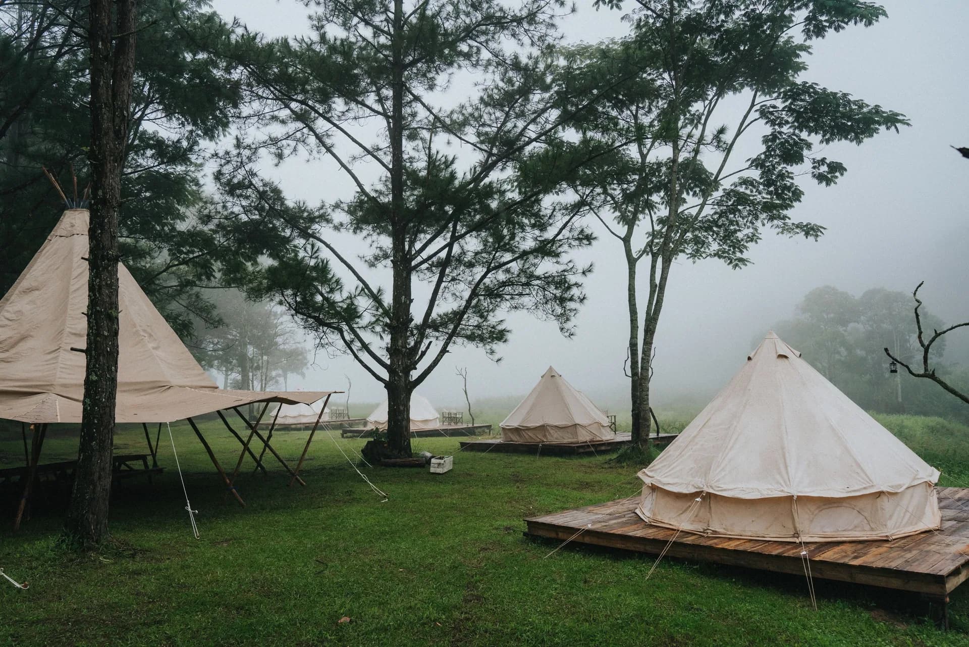 BookNoFees example image: Glamping tents at a campground among trees in the fog