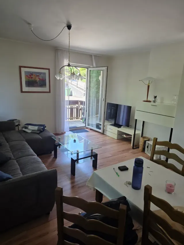 BookNoFees: Peaceful nature apartment with balcony and free parking – Willingen