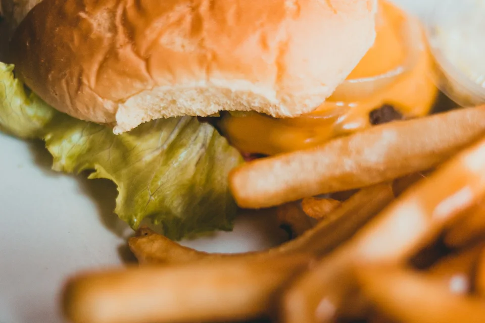 BookNoFees: Contoh foto: Burger
