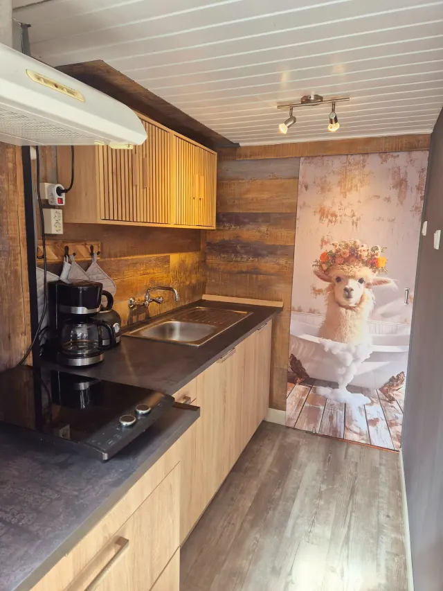 BookNoFees: homestay di Domburg, Zeeland, Belanda – Dapur dengan kabinet kayu, mesin pembancuh kopi, dan pintu gelangsar dengan imej alpaca