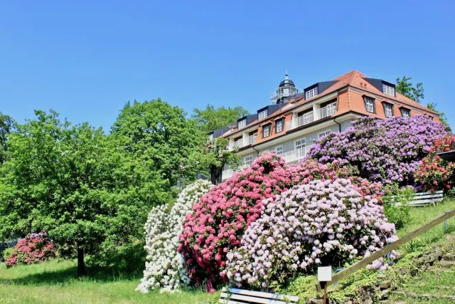 BookNoFees: Apartmen Percutian Natur und Kunst, Dresden, Sächsische Schweiz – Dresden