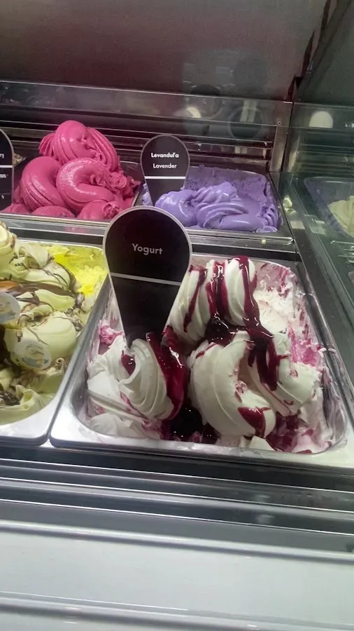 BookNoFees: Aiskrim – Andersen Ice Cream – Bratislava – Andersen Ice Cream, foto 3