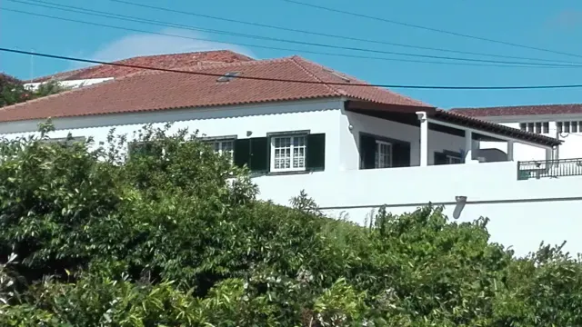 BookNoFees: Seluruh rumah di Pulau São Miguel – Ribeira Chã