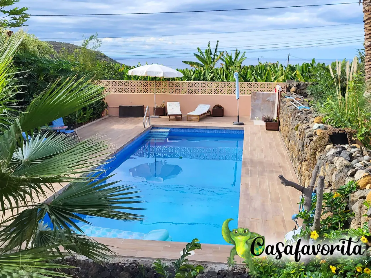 BookNoFees: homestay di Buen Paso, Tenerife, Sepanyol – Teres kolam dengan kerusi berbaring, payung dan pemandangan laut