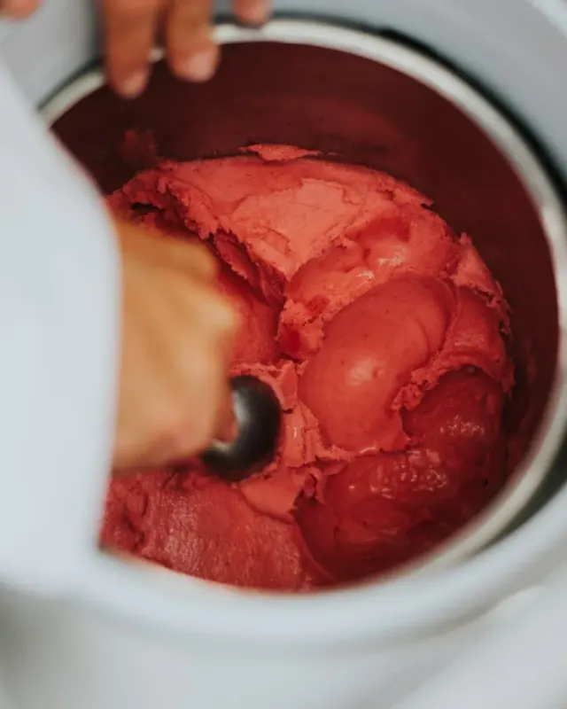 BookNoFees: Aiskrim – Artisani – Lisbon – Artisani, foto 2