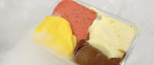 BookNoFees: Aiskrim – Gelateria Fassi – Rome – Gelateria Fassi, foto 3